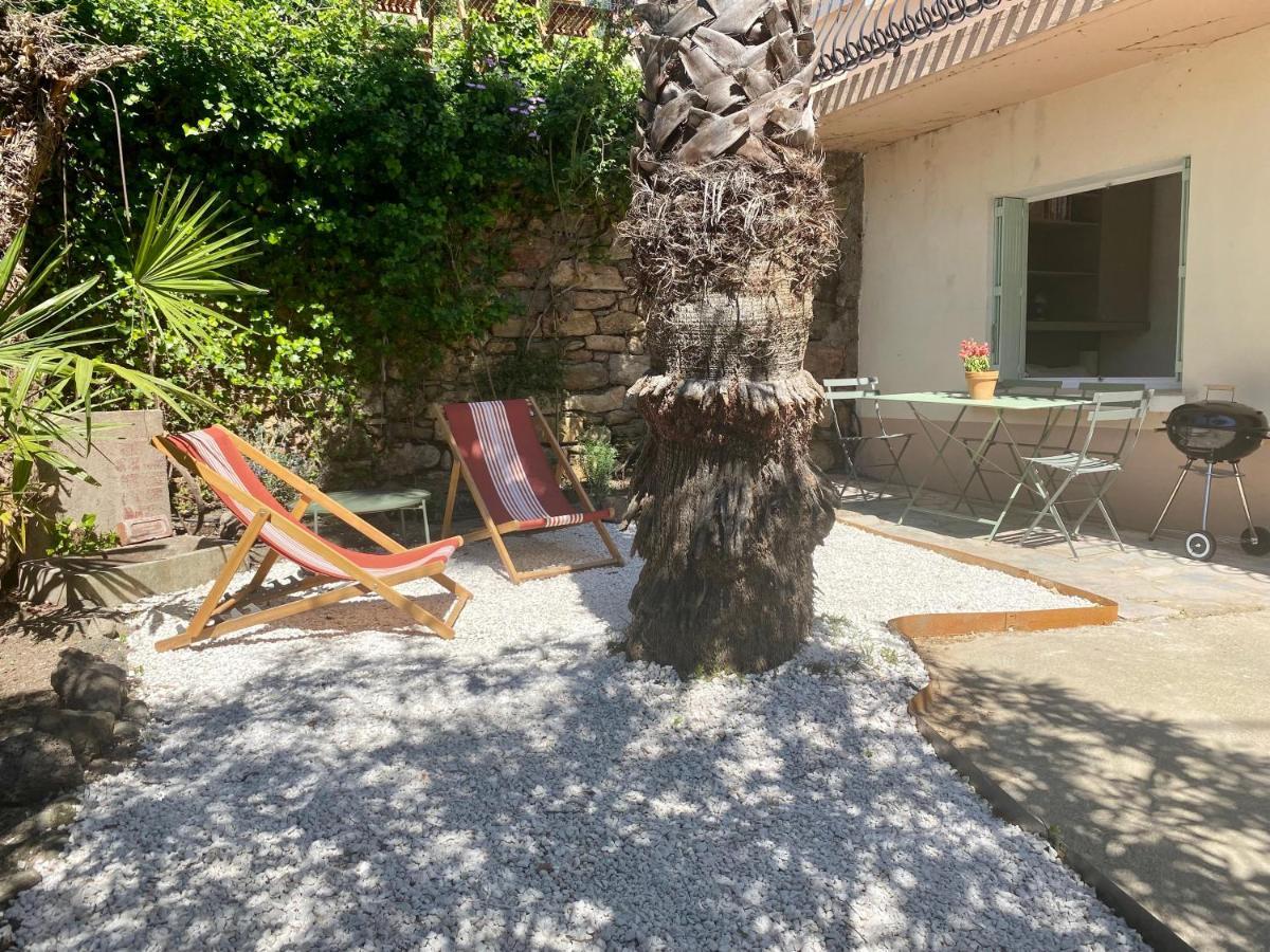Puissalicon Gite Le Palmier - Perfectly Located Cosy Studio With Private Garden מראה חיצוני תמונה