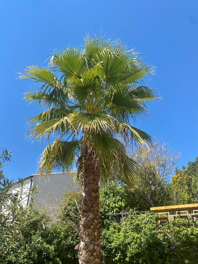 Puissalicon Gite Le Palmier - Perfectly Located Cosy Studio With Private Garden מראה חיצוני תמונה