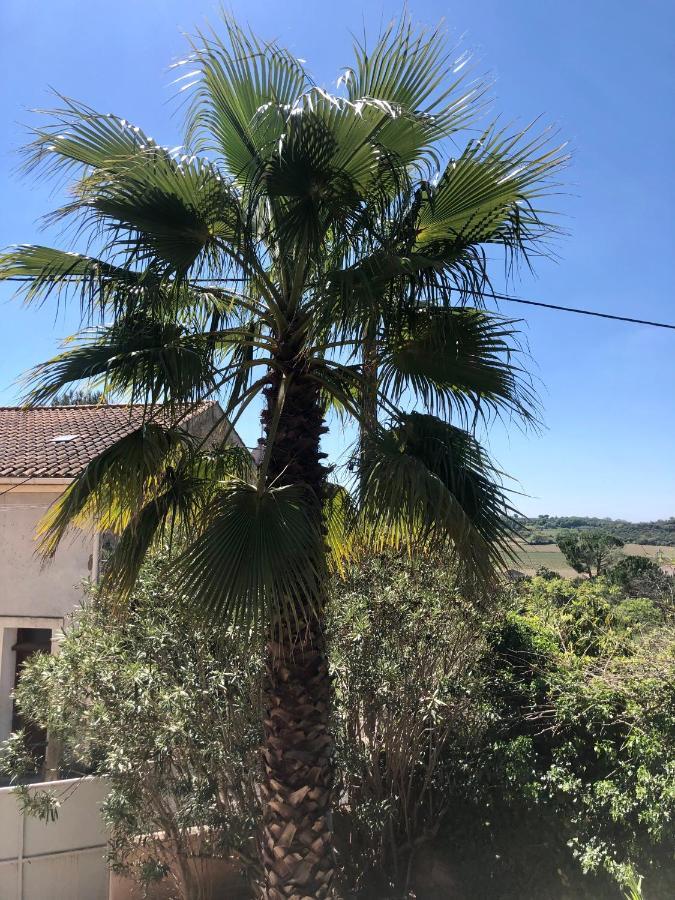 Puissalicon Gite Le Palmier - Perfectly Located Cosy Studio With Private Garden מראה חיצוני תמונה
