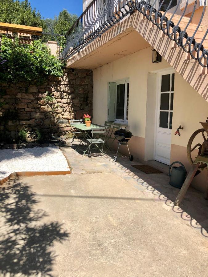 Puissalicon Gite Le Palmier - Perfectly Located Cosy Studio With Private Garden מראה חיצוני תמונה