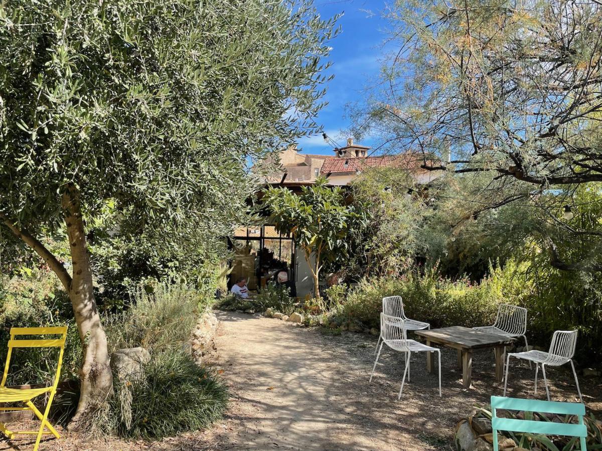 Puissalicon Gite Le Palmier - Perfectly Located Cosy Studio With Private Garden מראה חיצוני תמונה