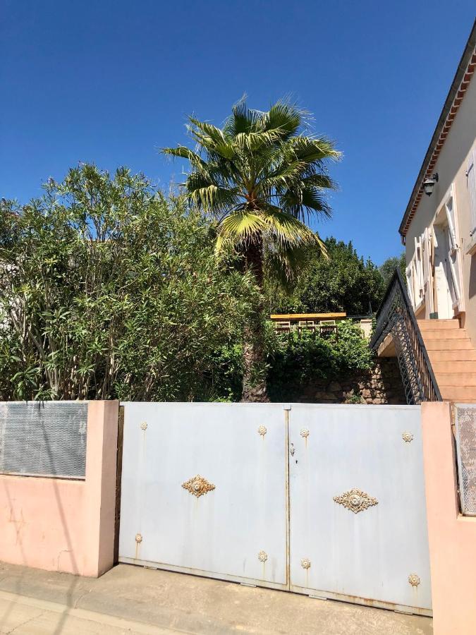Puissalicon Gite Le Palmier - Perfectly Located Cosy Studio With Private Garden מראה חיצוני תמונה