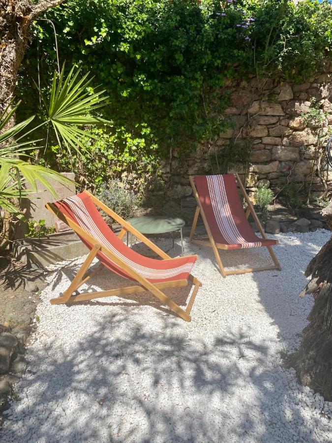 Puissalicon Gite Le Palmier - Perfectly Located Cosy Studio With Private Garden מראה חיצוני תמונה